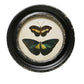 Round Black Framed Butterfly Drawing