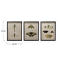 Insect Wood Framed Wall Decor