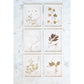 Wood Framed Glass Wall Décor with Dried Botanicals