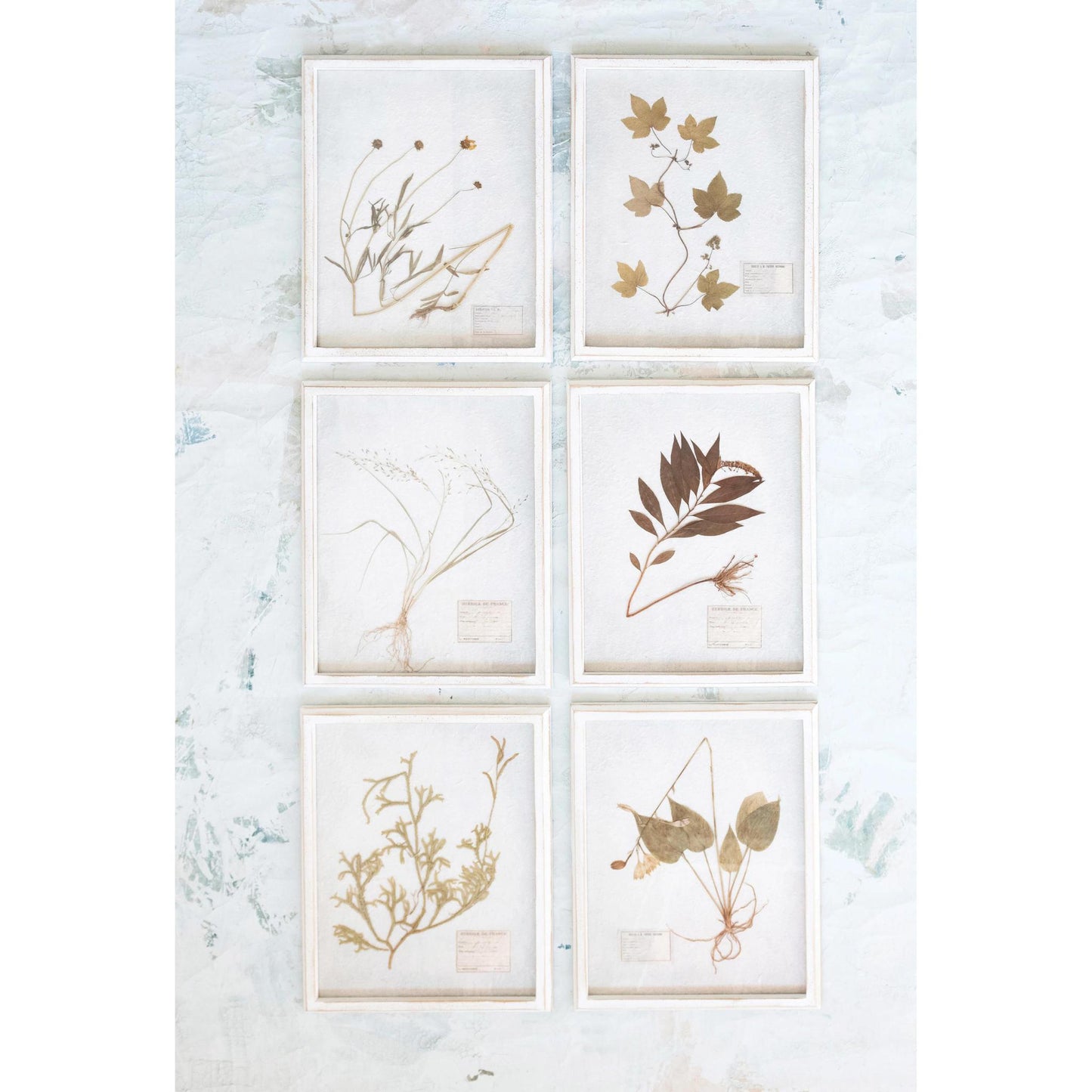 Wood Framed Glass Wall Décor with Dried Botanicals
