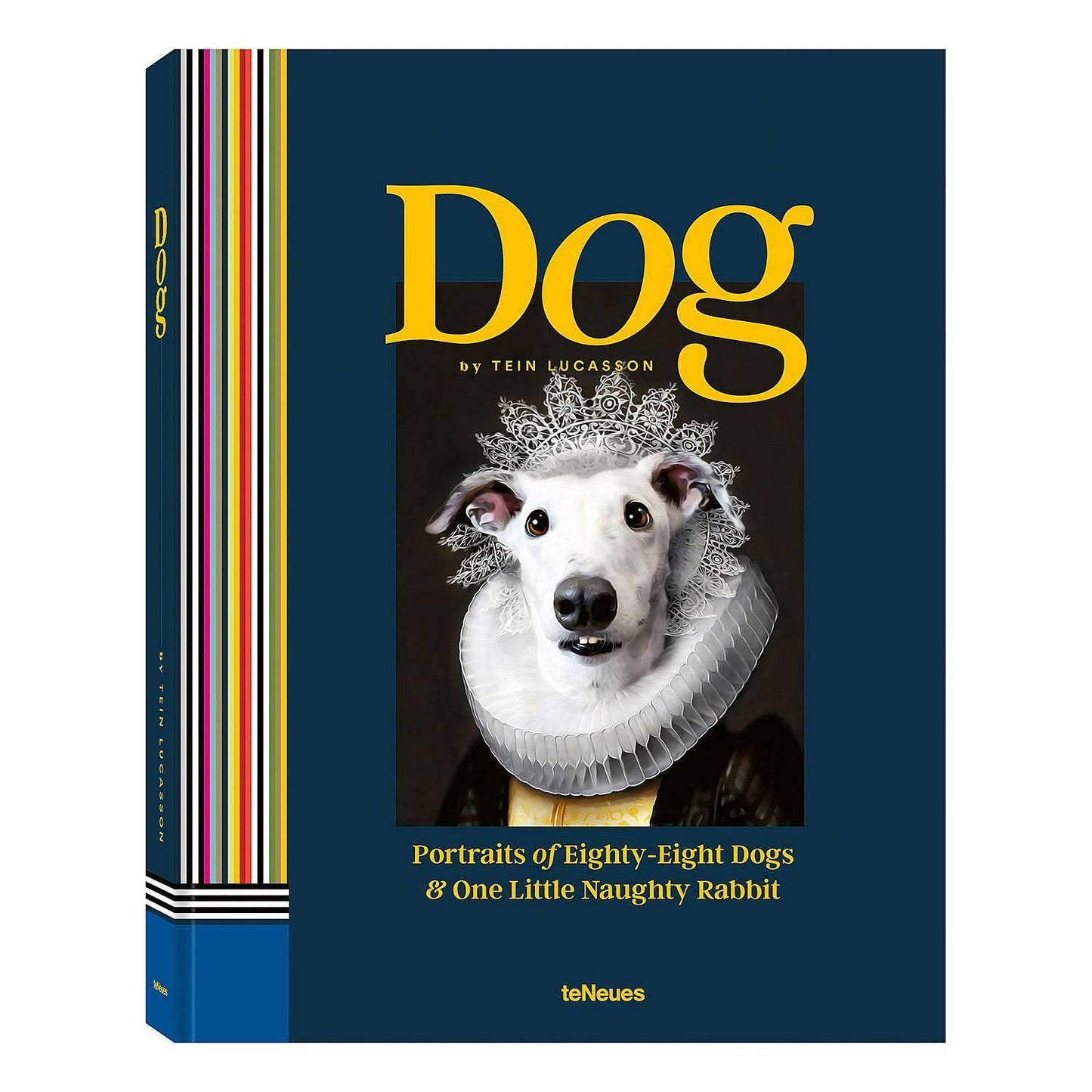 Dog: Portraits Of Eighty-Eight Dogs