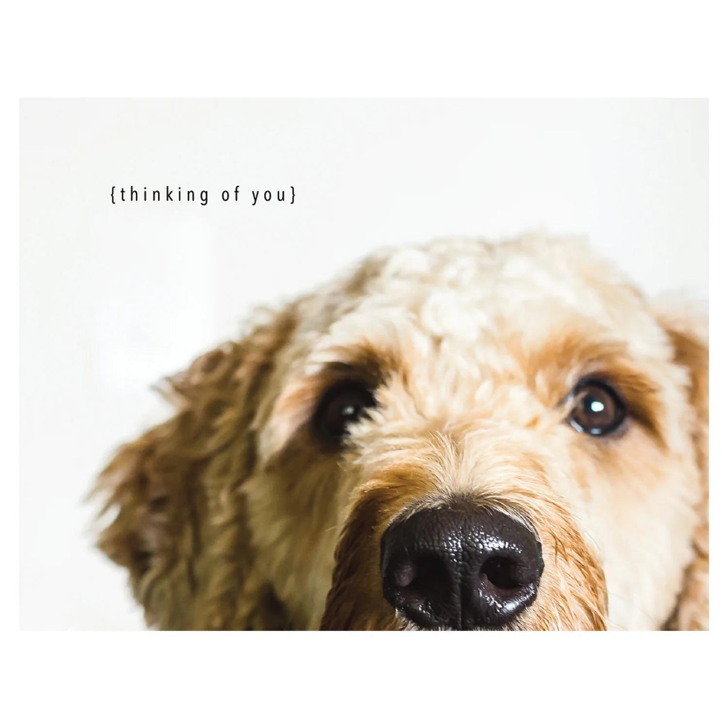 Thoughtful Dog Card