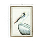 Wood Frame Pelican Art Print
